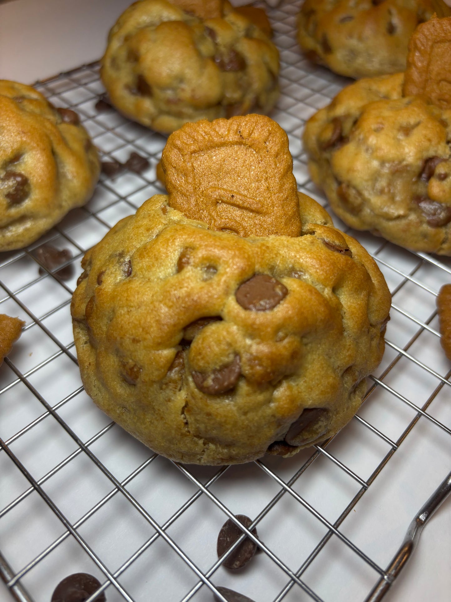 Biscoff Cream NY Style Cookie