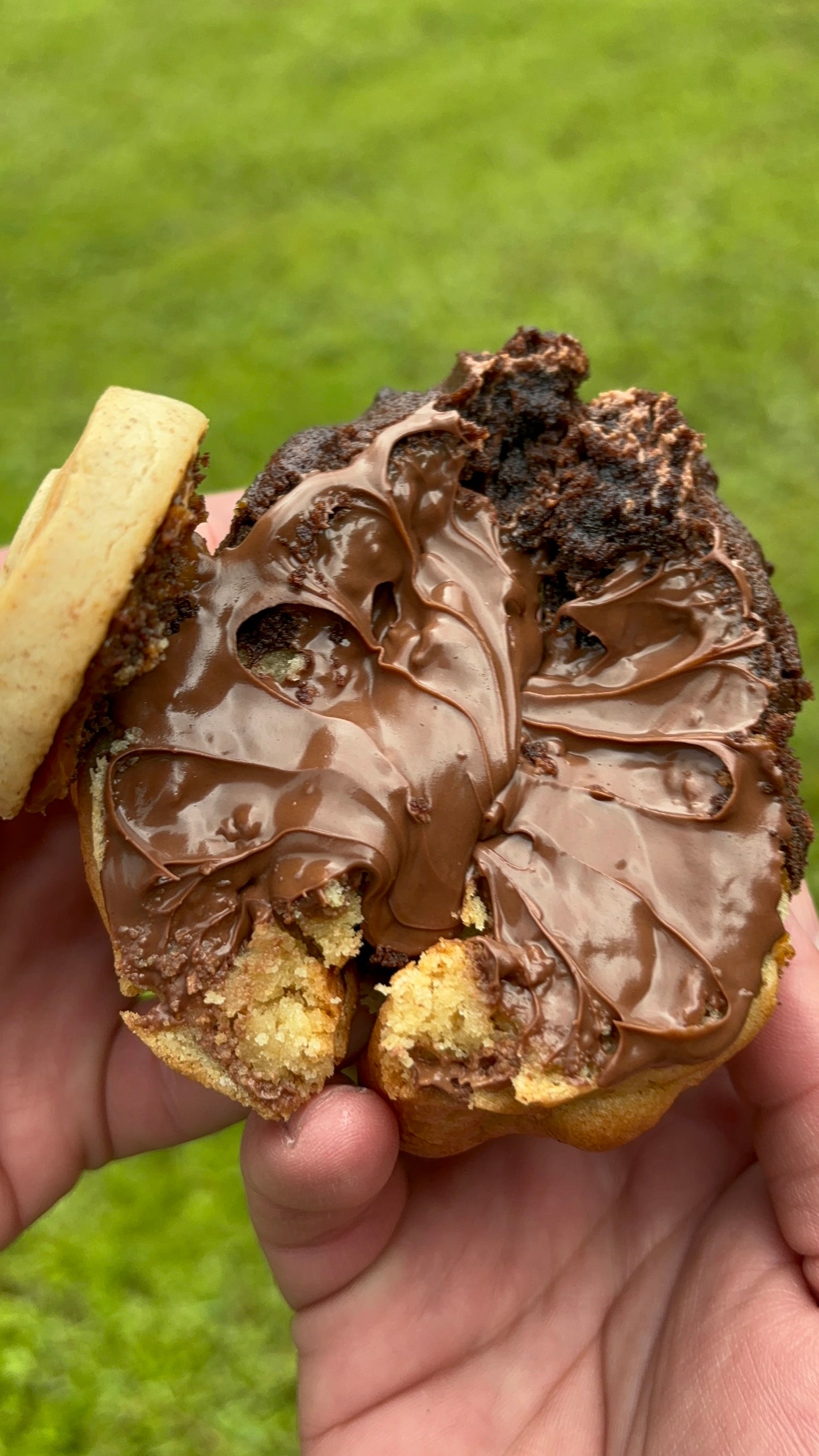Ultimate Brookie Nutella