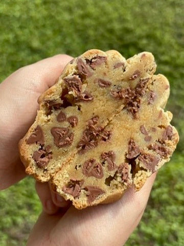 Chocolate Chip Cookie
