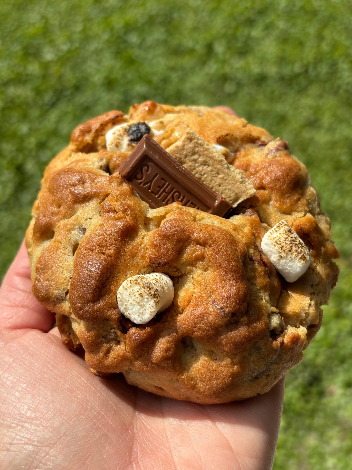 S'mores New York Style Cookies