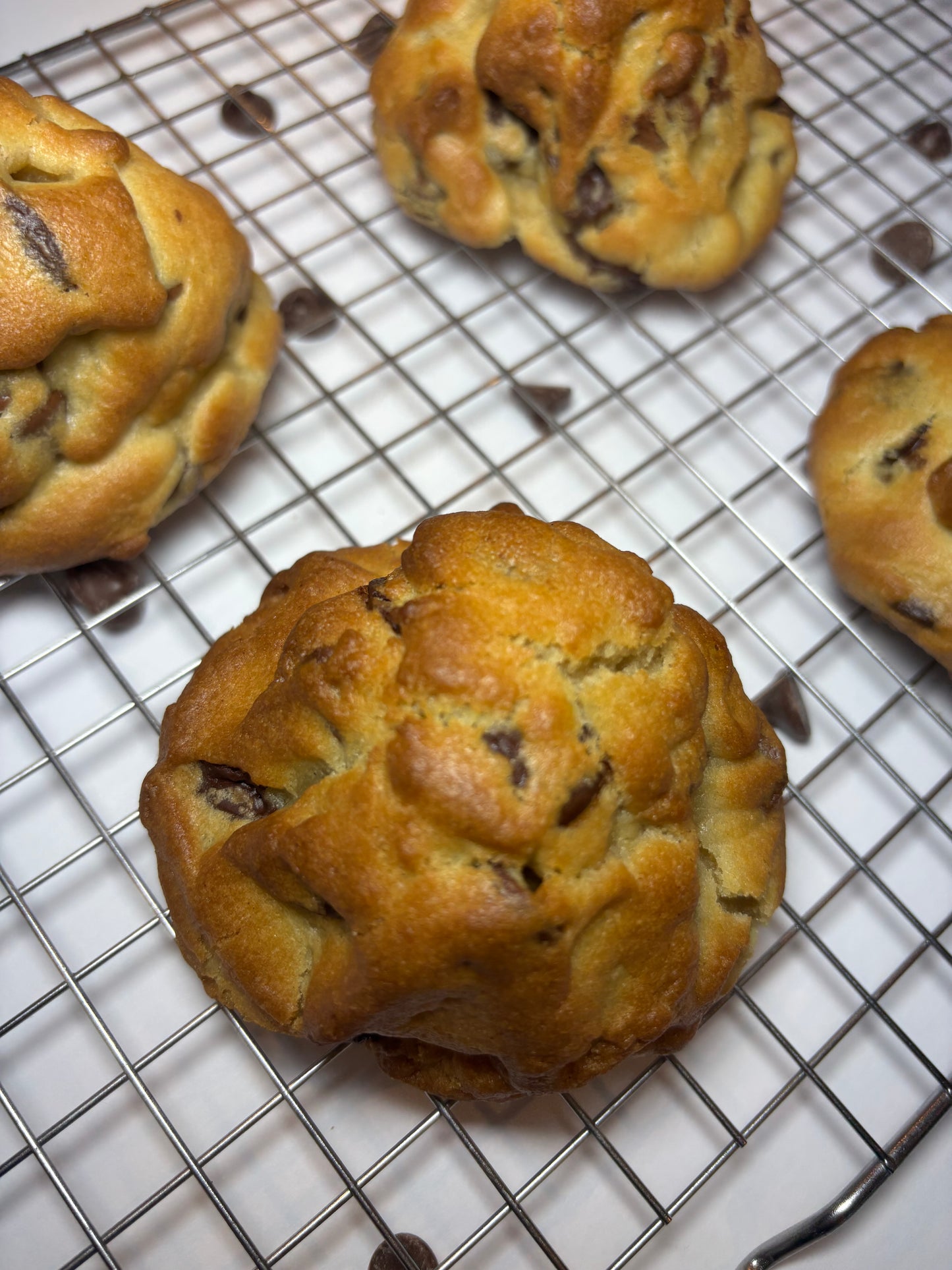 Chocolate Chip New York Style Cookie