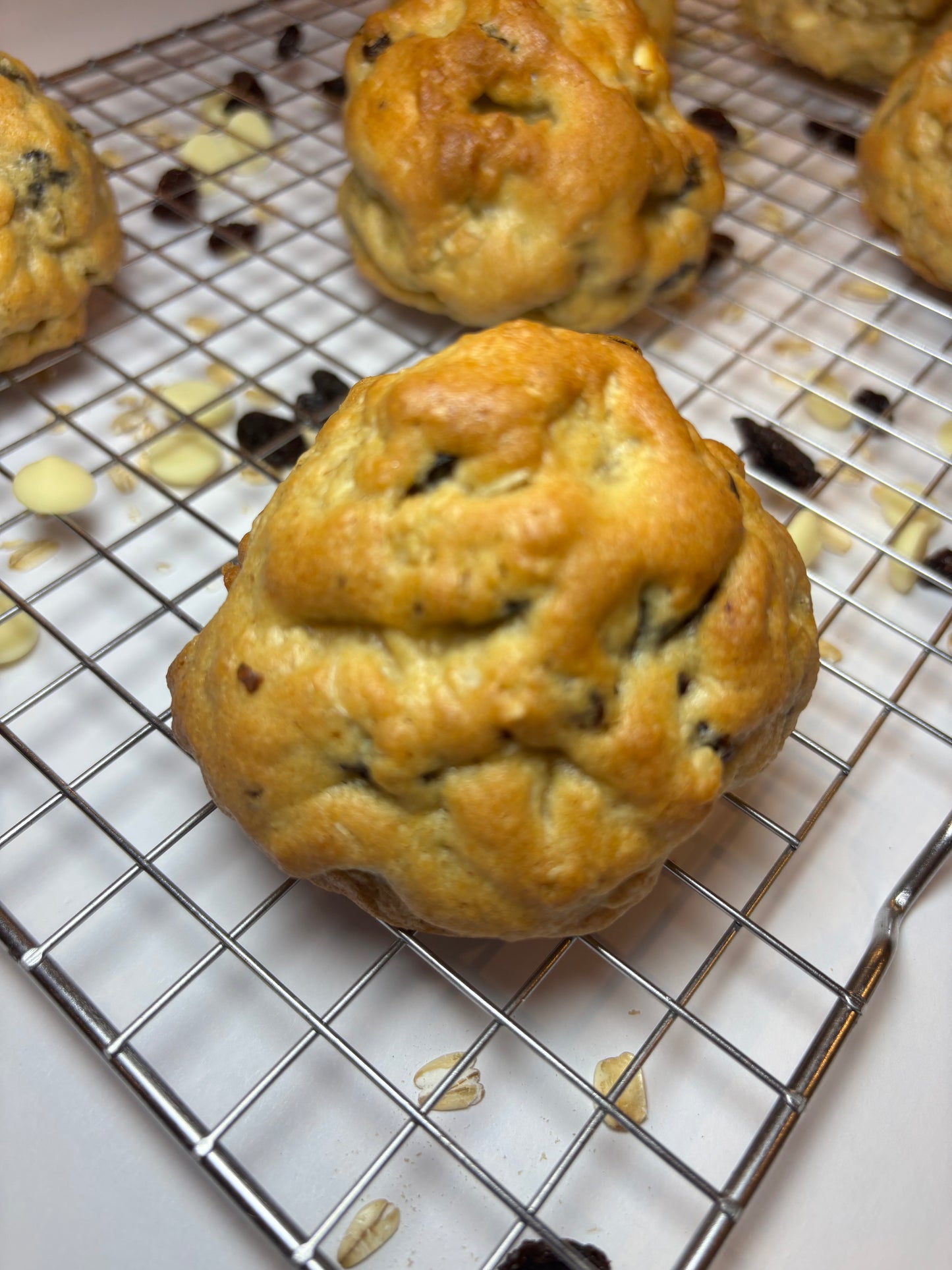 Oatmeal Raisin NY Style Cookie