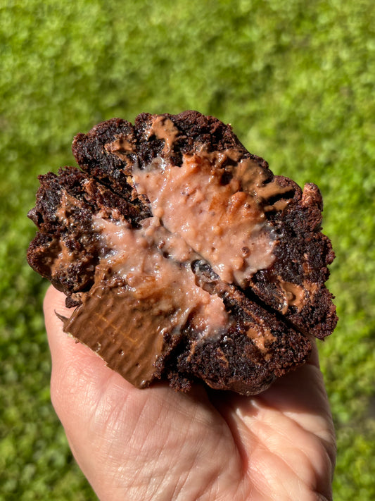 Samba Choco Berry Cookie