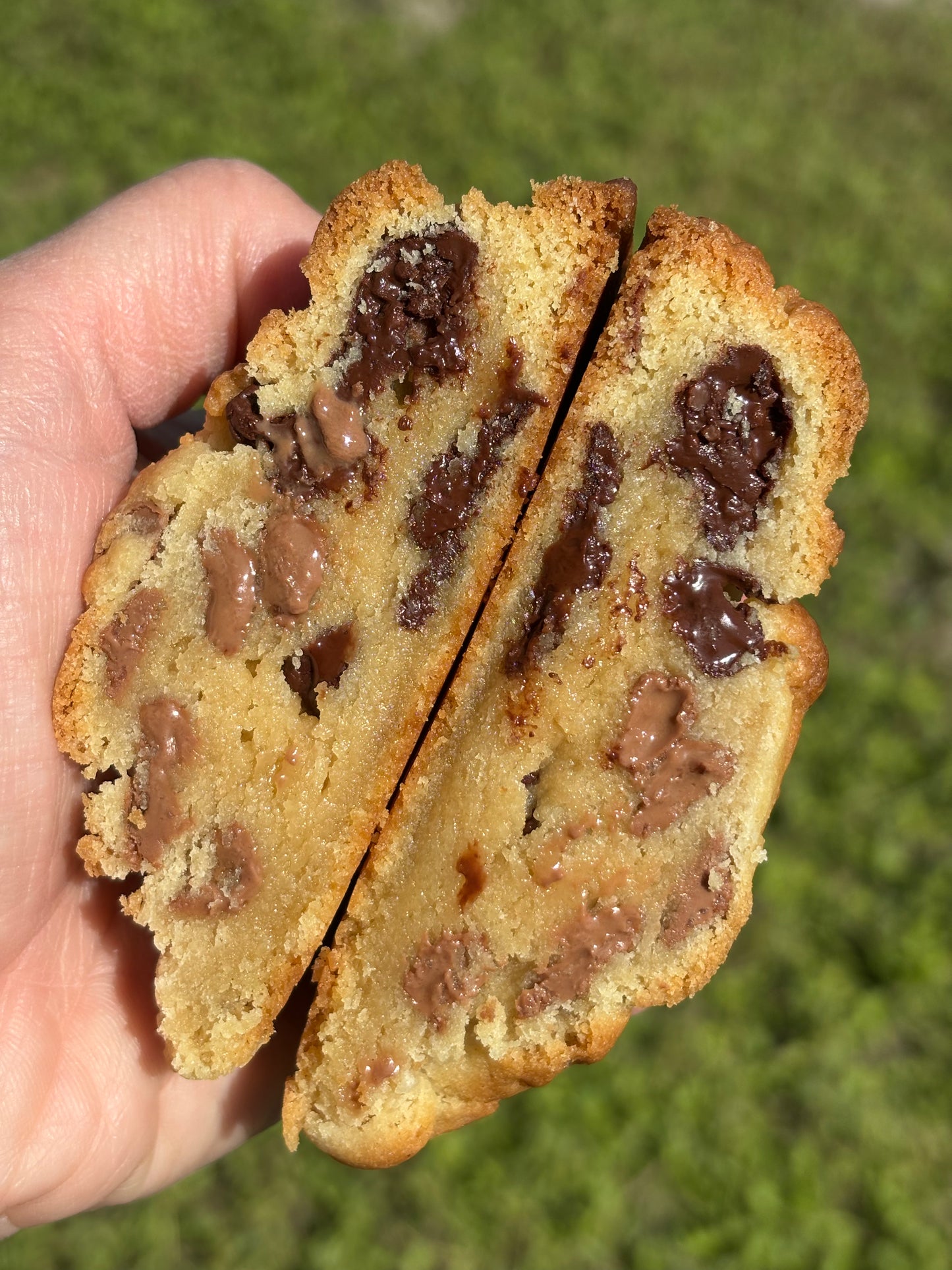 Chocolate Chip Cookie